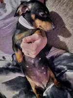 processed/d2c71653-befd-48ff-8659-811fe8251c2e/listing/39613c25-e681-48e7-8323-4cd240a08fa4/6e9f7ef6-094e-4991-a748-076f54cf9b96