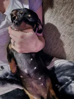 processed/d2c71653-befd-48ff-8659-811fe8251c2e/listing/39613c25-e681-48e7-8323-4cd240a08fa4/7b029ea4-71ab-4b08-a092-faed69637564