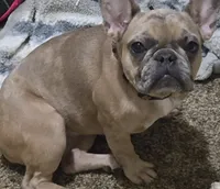 processed/d2c71653-befd-48ff-8659-811fe8251c2e/listing/eaee74e1-4de7-48ce-b3bf-d3adb9f20950/6806ac9c-c607-41ec-bf81-8412b2e2f43e