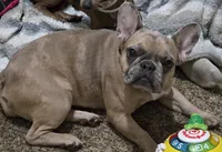 processed/d2c71653-befd-48ff-8659-811fe8251c2e/listing/eaee74e1-4de7-48ce-b3bf-d3adb9f20950/d839f921-cf2e-4c9b-8ab4-abbc3758c760