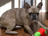 processed/d2c71653-befd-48ff-8659-811fe8251c2e/listing/eaee74e1-4de7-48ce-b3bf-d3adb9f20950/edf45b24-0f35-4e38-a0f0-fb14aa955eef