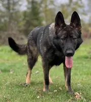 processed/d2c71653-befd-48ff-8659-811fe8251c2e/listing/fef52b91-a6f1-4848-afde-8f2f48c13268/261da250-8fc0-47aa-9d57-e069c48fef4b