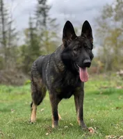 processed/d2c71653-befd-48ff-8659-811fe8251c2e/listing/fef52b91-a6f1-4848-afde-8f2f48c13268/6f2d5e49-520f-442d-b451-b6bcd28c3c56