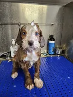 Facility photo
