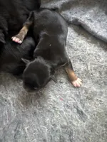 processed/d2dff530-fe17-455e-ac0f-f4e6cf25072d/listing/10b84e13-1ab2-466e-a587-699dc7f32980/55384db9-ba27-4fca-85a3-2398c4f9fa3b