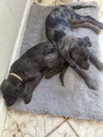 processed/d2dff530-fe17-455e-ac0f-f4e6cf25072d/listing/208c8c3a-af5a-4050-847a-9063803fd63e/1883a6b6-a68b-44ac-a6f2-5660782fa6fa