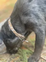 processed/d2dff530-fe17-455e-ac0f-f4e6cf25072d/listing/208c8c3a-af5a-4050-847a-9063803fd63e/2798b3ae-f345-4b0a-8cf9-07d3c65ebdd1