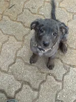 processed/d2dff530-fe17-455e-ac0f-f4e6cf25072d/listing/208c8c3a-af5a-4050-847a-9063803fd63e/73734b3d-836c-4f88-8d84-d2fb8e5620a5