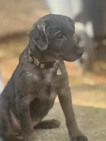 processed/d2dff530-fe17-455e-ac0f-f4e6cf25072d/listing/208c8c3a-af5a-4050-847a-9063803fd63e/97bfdb24-acb8-47b9-b3b7-e37fa1131279