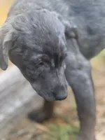 processed/d2dff530-fe17-455e-ac0f-f4e6cf25072d/listing/208c8c3a-af5a-4050-847a-9063803fd63e/9dba5277-dd59-4746-935a-f6c6ff215d28