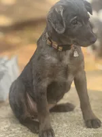 processed/d2dff530-fe17-455e-ac0f-f4e6cf25072d/listing/208c8c3a-af5a-4050-847a-9063803fd63e/e9a9e5c4-62ea-43eb-8c09-eb207d17cb35