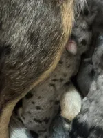 processed/d2dff530-fe17-455e-ac0f-f4e6cf25072d/listing/2eff786d-ee04-4f3b-94a6-f1f6236e8721/615b4a57-922d-422b-b0d6-22db9cff6438