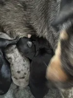 processed/d2dff530-fe17-455e-ac0f-f4e6cf25072d/listing/3383f8c4-90f7-40c8-9ad2-187299d1e8c9/81ffd89c-d437-43dd-a23d-c704befd952d