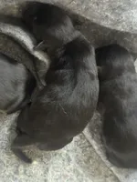 processed/d2dff530-fe17-455e-ac0f-f4e6cf25072d/listing/67468422-dca3-4d4b-923c-b7119c60959d/c9431ad3-0659-4523-91a0-76a6fc0dea4d