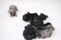 processed/d2dff530-fe17-455e-ac0f-f4e6cf25072d/listing/7e340946-50a1-4edd-a6ac-d84cbe24360f/b2156506-e6a5-4441-8a40-5db35ed47995