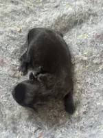 processed/d2dff530-fe17-455e-ac0f-f4e6cf25072d/listing/a8b34393-87c3-4a3a-8f67-eb66500b9d10/0679105f-793e-4e9a-bf8d-890e3b2bc538