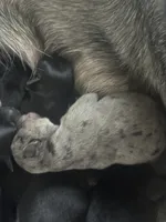 processed/d2dff530-fe17-455e-ac0f-f4e6cf25072d/listing/aa5d4827-f20f-4917-92c3-0a46c2bb38df/bd954bbc-55ae-4716-bd89-8bed6725f58e