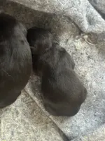 processed/d2dff530-fe17-455e-ac0f-f4e6cf25072d/listing/b4a81480-4289-4136-8714-9fa47da0b615/3ecf0842-0294-4a72-af71-5029d370d3ba