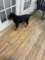 processed/d2e14ee7-2ba0-4dcb-b7e0-5e7251ba6019/listing/9defcbf4-77bc-4444-bf60-62437158bf67/3ec8bebc-8258-4a0b-8e88-9dcbb57b5fb1