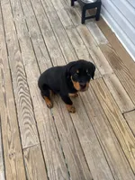 processed/d2e14ee7-2ba0-4dcb-b7e0-5e7251ba6019/listing/9defcbf4-77bc-4444-bf60-62437158bf67/56dc4629-41bb-4b44-97c8-fbe92a54d3e4