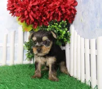 processed/d2e40dd8-515a-4643-bb02-076943aa776c/listing/06445191-6a2a-45db-a343-998d7dca4747/0fd4243e-a4be-4dc1-875c-758b83978b15