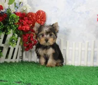 processed/d2e40dd8-515a-4643-bb02-076943aa776c/listing/06445191-6a2a-45db-a343-998d7dca4747/d154e814-0e1e-4f5d-988a-864b1dad26b9