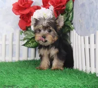 processed/d2e40dd8-515a-4643-bb02-076943aa776c/listing/06445191-6a2a-45db-a343-998d7dca4747/d7f8a633-4d47-4740-b6f0-7e6d18c6735a