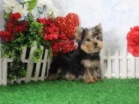 processed/d2e40dd8-515a-4643-bb02-076943aa776c/listing/06445191-6a2a-45db-a343-998d7dca4747/f1d6b9d3-04a2-4022-a0bc-782fc4f2c503