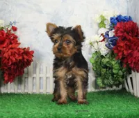 processed/d2e40dd8-515a-4643-bb02-076943aa776c/listing/09deee47-31d1-4442-9478-439513e46bf2/0a2b2c88-e7f6-4851-a718-95833bda773e