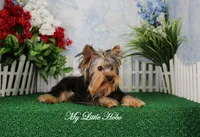 processed/d2e40dd8-515a-4643-bb02-076943aa776c/listing/09deee47-31d1-4442-9478-439513e46bf2/63ecb393-01bf-4913-97f8-9296edab229d