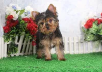 processed/d2e40dd8-515a-4643-bb02-076943aa776c/listing/09deee47-31d1-4442-9478-439513e46bf2/8e4c0dcd-479e-4b4d-a0b8-090c6d1792c6