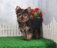 processed/d2e40dd8-515a-4643-bb02-076943aa776c/listing/09deee47-31d1-4442-9478-439513e46bf2/bfb63389-3360-4845-896b-b14b081f5273