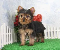 processed/d2e40dd8-515a-4643-bb02-076943aa776c/listing/09deee47-31d1-4442-9478-439513e46bf2/d38f55f8-a379-46c0-9bcb-0a3d488addef