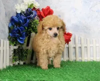 processed/d2e40dd8-515a-4643-bb02-076943aa776c/listing/1f544eb7-4a4f-4037-a42f-f3d6b47f483f/6dd1d854-c6d1-4f2d-8105-db7850e00eaa