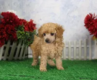 processed/d2e40dd8-515a-4643-bb02-076943aa776c/listing/1f544eb7-4a4f-4037-a42f-f3d6b47f483f/8575ff71-0c6c-4cc8-813d-7ff6a2db5f30