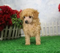 processed/d2e40dd8-515a-4643-bb02-076943aa776c/listing/1f544eb7-4a4f-4037-a42f-f3d6b47f483f/daa7f02d-0df9-419f-9509-c878f9e0e018