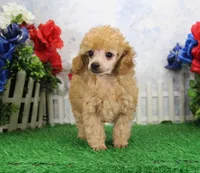 processed/d2e40dd8-515a-4643-bb02-076943aa776c/listing/1f544eb7-4a4f-4037-a42f-f3d6b47f483f/e898f329-9d9f-447d-9675-e8d4766cbd38