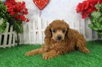 processed/d2e40dd8-515a-4643-bb02-076943aa776c/listing/21d8e124-9b46-4b5e-8859-81af8bf8c1fa/400b83e3-6b30-4964-8eb2-535c64d4443e