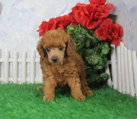 processed/d2e40dd8-515a-4643-bb02-076943aa776c/listing/21d8e124-9b46-4b5e-8859-81af8bf8c1fa/467927b0-b710-4192-a18c-53b0f1cb22a8