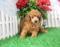 processed/d2e40dd8-515a-4643-bb02-076943aa776c/listing/21d8e124-9b46-4b5e-8859-81af8bf8c1fa/c4c3ae89-fec3-44c0-8cb4-af022f61b8f6