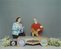 Austin, AKC Champion Sired, a male Poodle - Toy  for sale in Butler, MO – Photo 5 of 6