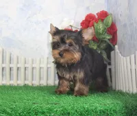 processed/d2e40dd8-515a-4643-bb02-076943aa776c/listing/ba5979fe-16a2-4308-8a54-63ba83032d7a/50f3c98a-98f0-4f3d-9c17-180de6ce3059