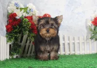 processed/d2e40dd8-515a-4643-bb02-076943aa776c/listing/ba5979fe-16a2-4308-8a54-63ba83032d7a/6833b774-75ca-412b-8bfb-5515d9bd120e