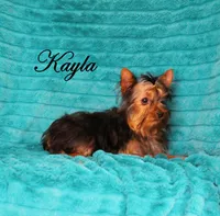 processed/d2e40dd8-515a-4643-bb02-076943aa776c/listing/ba5979fe-16a2-4308-8a54-63ba83032d7a/7d6927a0-a3d3-4d8d-b36e-16b97afe6b5a