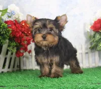 processed/d2e40dd8-515a-4643-bb02-076943aa776c/listing/ba5979fe-16a2-4308-8a54-63ba83032d7a/808bc4f0-3e63-4e1d-aabd-5a23d9e94c0a