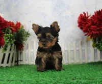 processed/d2e40dd8-515a-4643-bb02-076943aa776c/listing/ba5979fe-16a2-4308-8a54-63ba83032d7a/f5b996f7-5ac3-4ee9-805a-f29bb72770f9