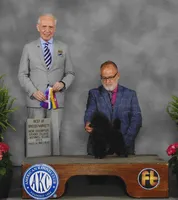 Tori, AKC Champion Sire, a female Poodle - Toy  for sale in Butler, MO – Photo 8 of 9