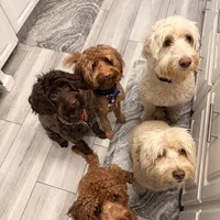 processed/d2fad7a5-6359-4e3e-9ae1-81cf0b334bf5/facility/41ad7556-932d-4106-a116-fed98641c56b