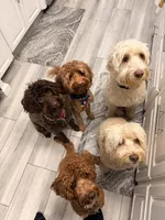 processed/d2fad7a5-6359-4e3e-9ae1-81cf0b334bf5/facility/41ad7556-932d-4106-a116-fed98641c56b