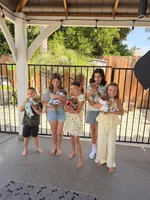 Boy2, a male Australian Labradoodle for sale in Bakersfield, CA – Photo 8 of 8